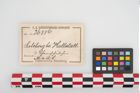 Etikett zu Schale (NHMW-PRAE-026886)